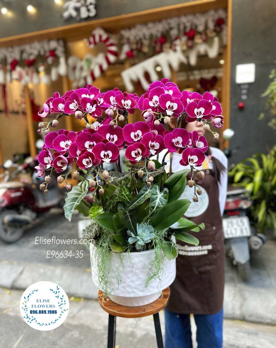 Lan hồ điệp Hà Nội. Chậu lan hồ điệp ngọc trai 10 cành nhập khẩu. Dịch vụ giao hoa tận nơi nhanh chóng, đảm bảo