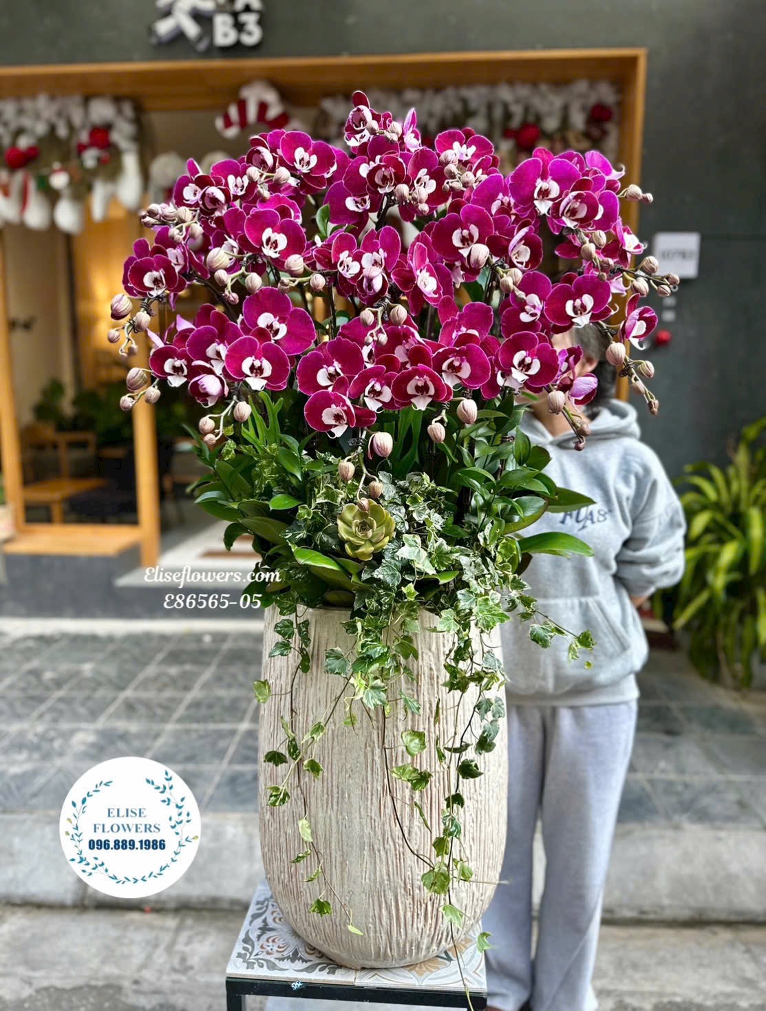 Chậu lan hồ điệp ngọc trai tặng sếp. Lan nhập khẩu VIP chúc mừng lãnh đạo. Điện hoa Hà Nội Eliseflowers