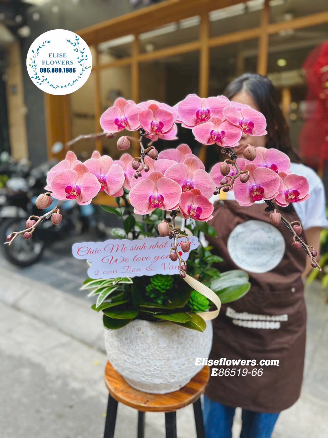 Lan hồ điệp Hoàn Kiếm. Chậu lan hồ điệp cam cao cấp giá rẻ tại Hoàn Kiếm. Eliseflowers