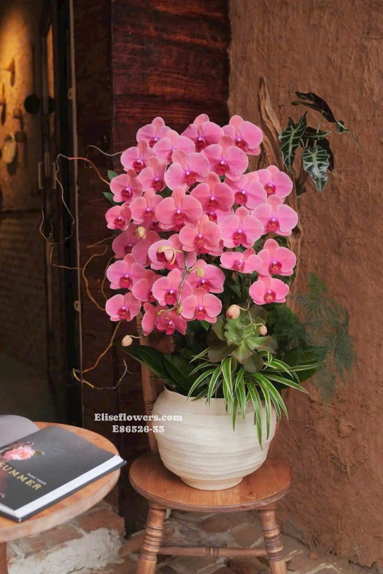 Lan hồ điệp tặng sếp. Lan hồ điệp Hà Nội. Chậu lan hồ điệp phú quý chúc mừng. Eliseflowers