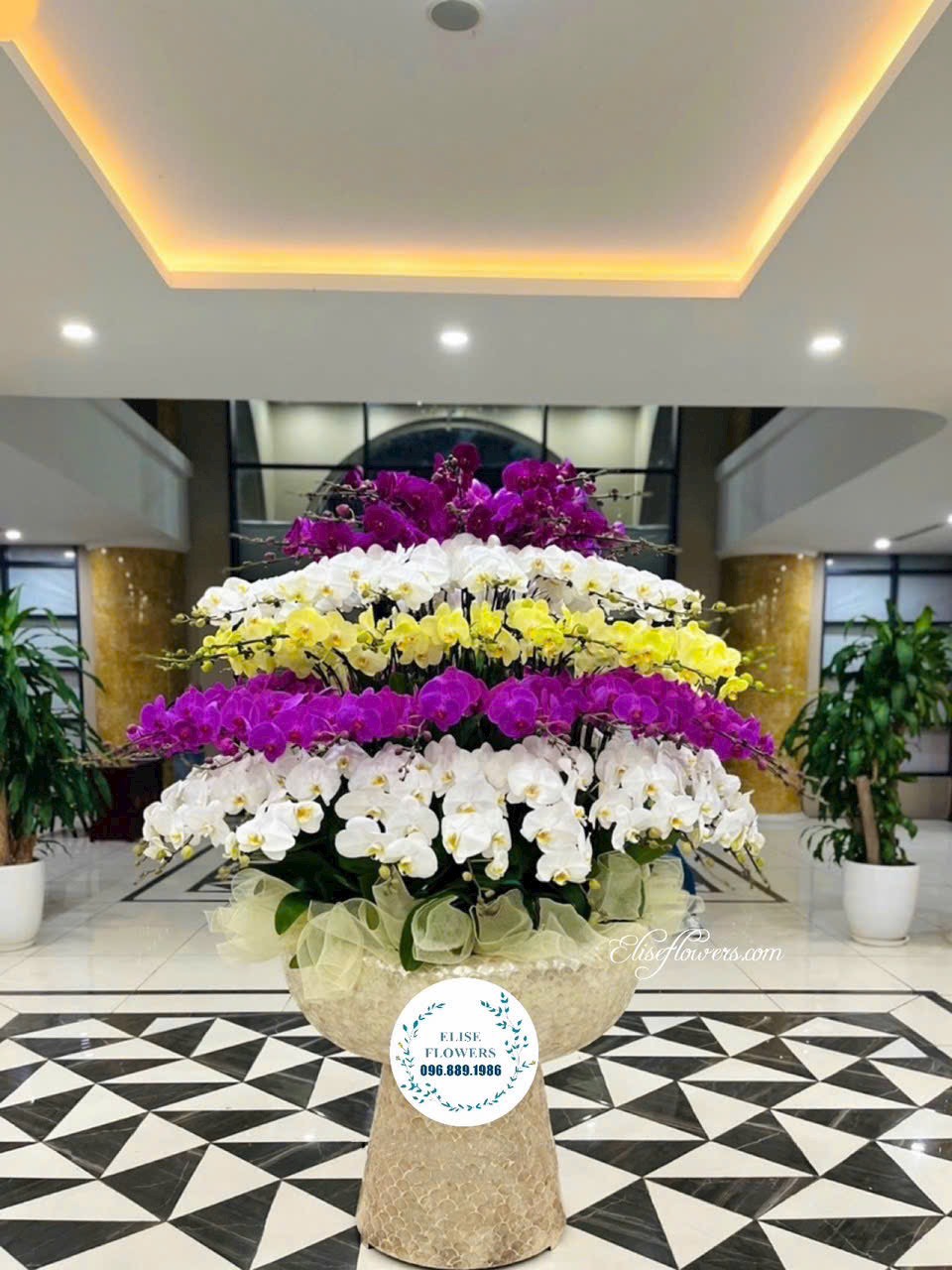 Đặt mua chậu hoa lan hồ điệp cao cấp ở Hà Nội. Hoa lan hồ điệp cao cấp