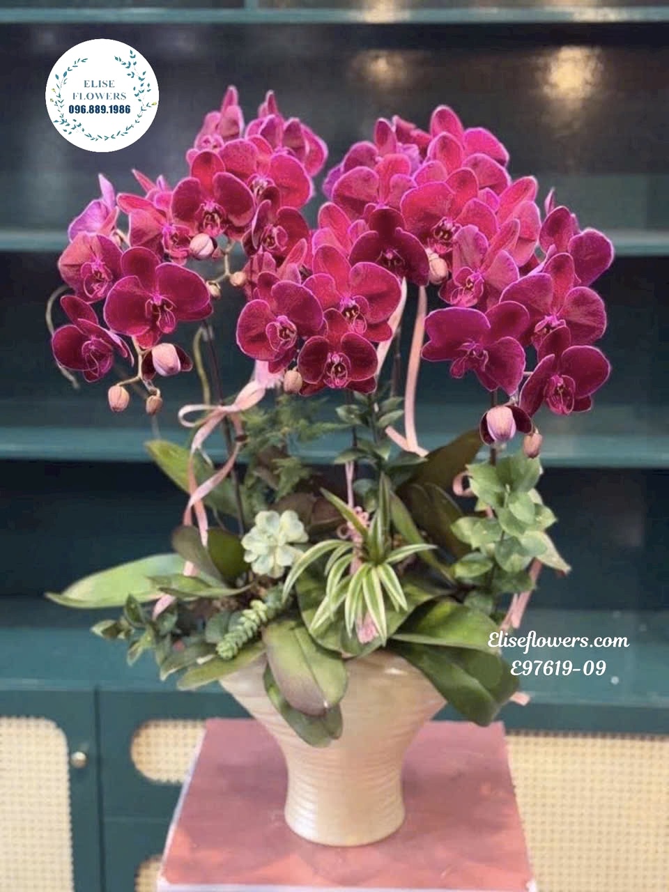 Chậu lan hồ điệp cao cấp chúc mừng sinh nhật ở Hà Nội từ Eliseflowers