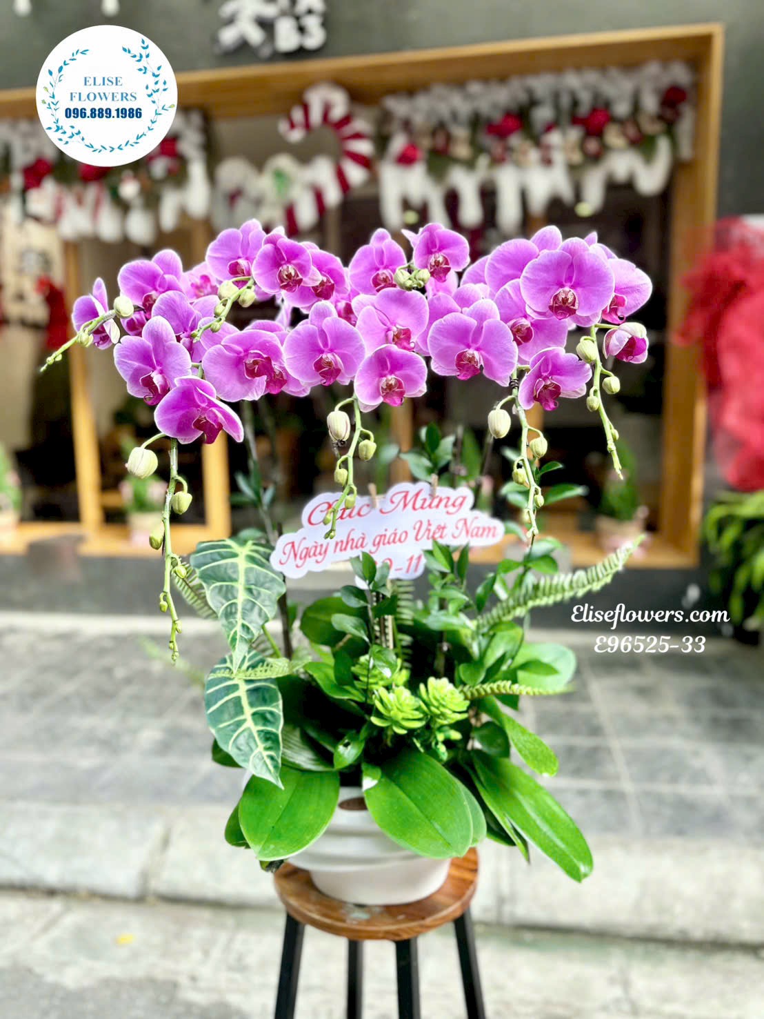 Chậu Lan Hồ Điệp Tím nhập khẩu với thiết kế 7 cành độc đáo, phù hợp trang trí văn phòng, phòng khách hoặc chúc mừng khai trương, sinh nhật