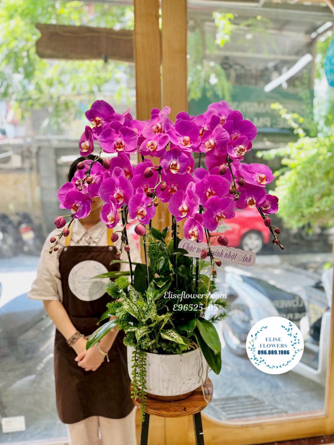 Chậu lan hồ điệp tím phú quý, thịnh vượng