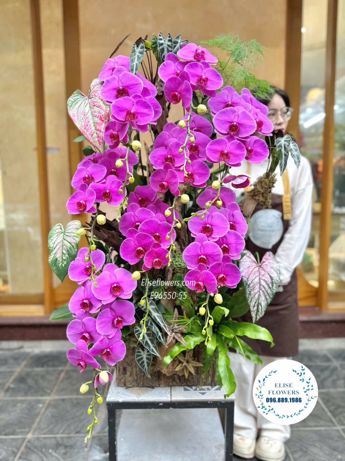 Chậu lan hồ điệp tím ghép lũa sang trọng biếu sếp ở Hà Nội. Điện hoa Hà Nội Eiiseflowers