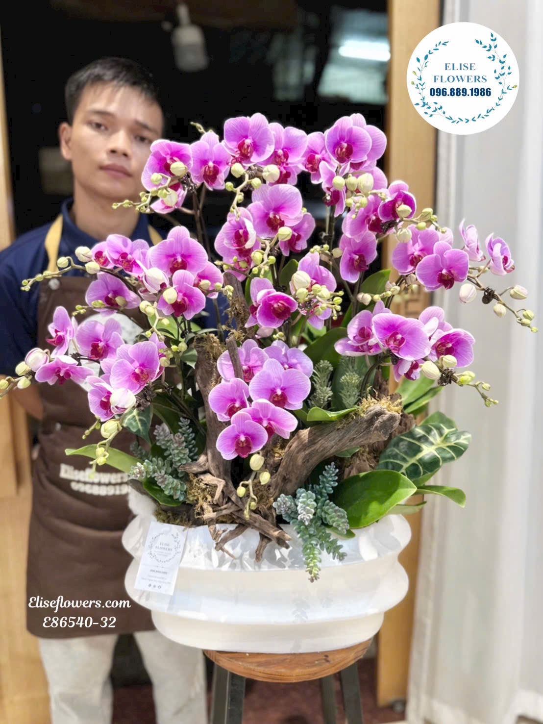 Lan hồ điệp nhập khẩu. Chậu lan hồ điệp tím ghép lũa tặng sếp ở Hà Nội. Eliseflowers