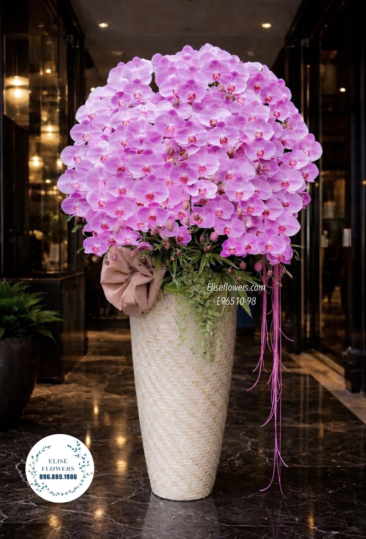 Chậu lan hồ điệp khai trương. Chậu lan tím phong thuỷ, thịnh vượng. Điện hoa Hà Nội Eliseflowers