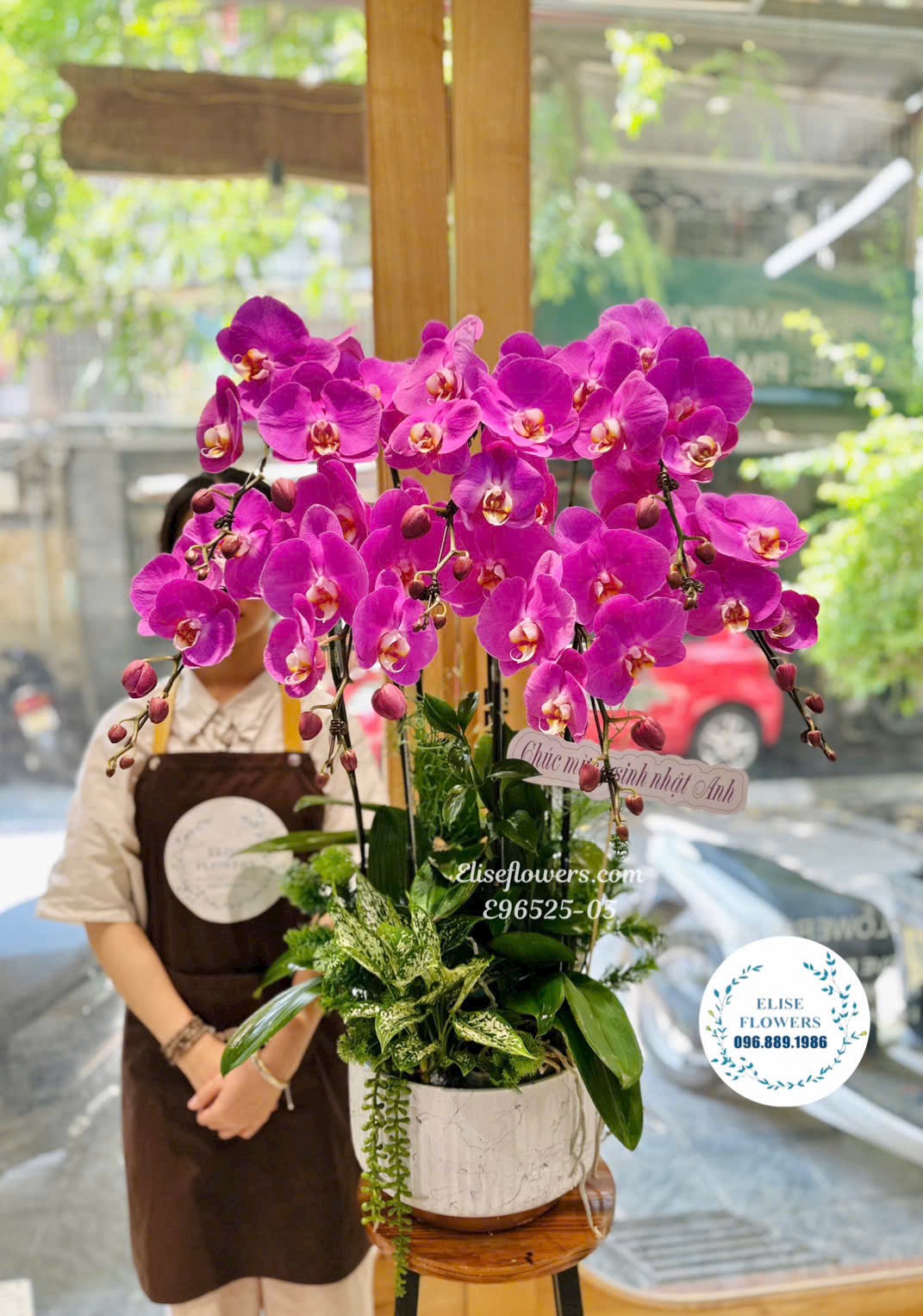 Chậu lan hồ điệp tím 7 cành sang trọng tại Hà Nội