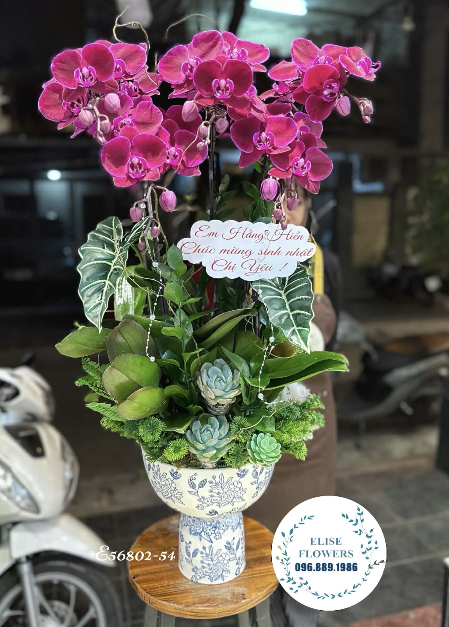 Lan hồ điệp Hà Nội. Chậu lan hồ điệp sinh nhật. Lan hồ điệp tím sang trọng. Dịch vụ giao hoa nhanh chóng, đảm bảo