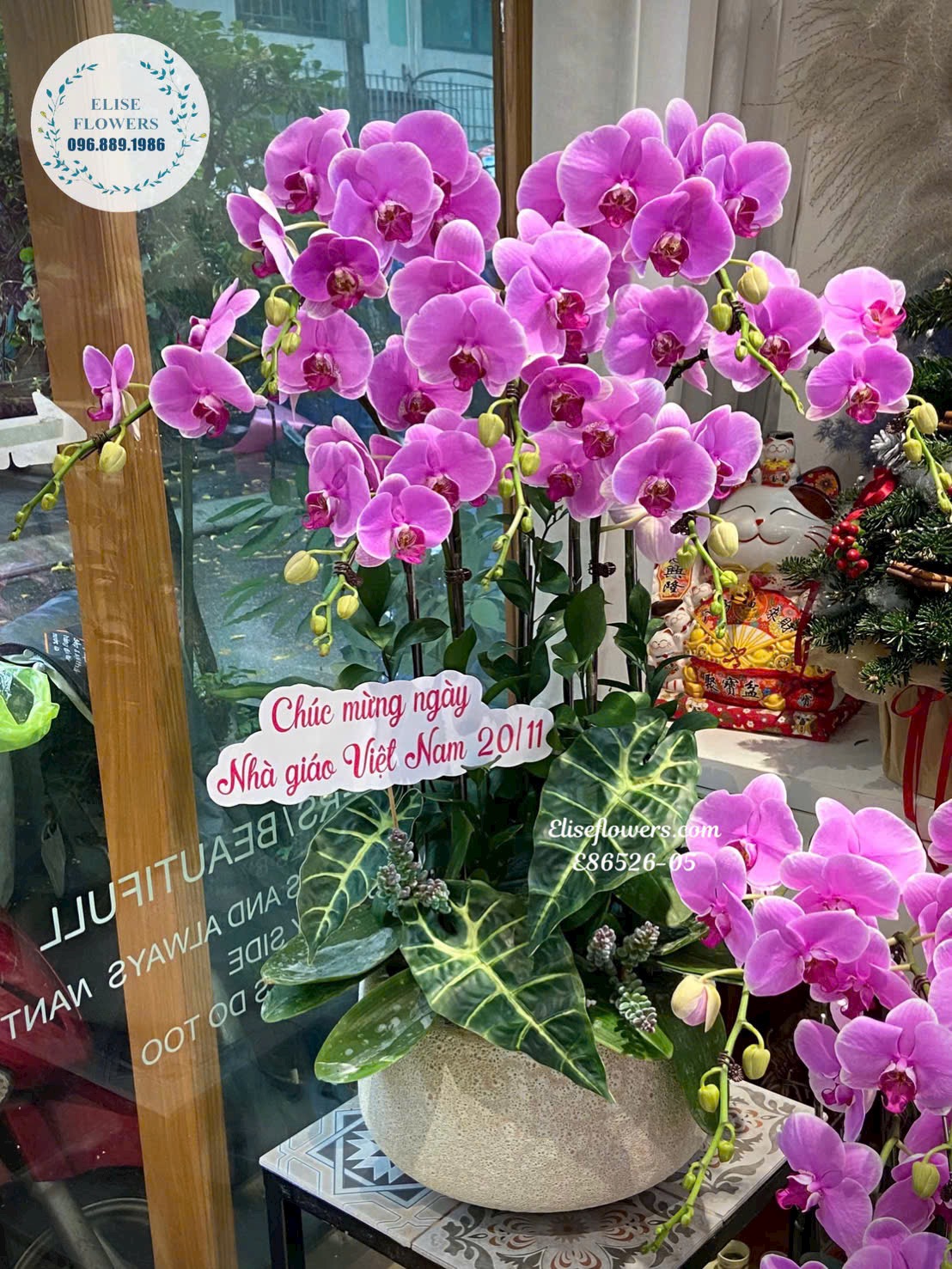 Chậu lan tím 7 cành. Chậu lan tặng mẹ. Điện hoa tươi Hà Nội Eliseflowers