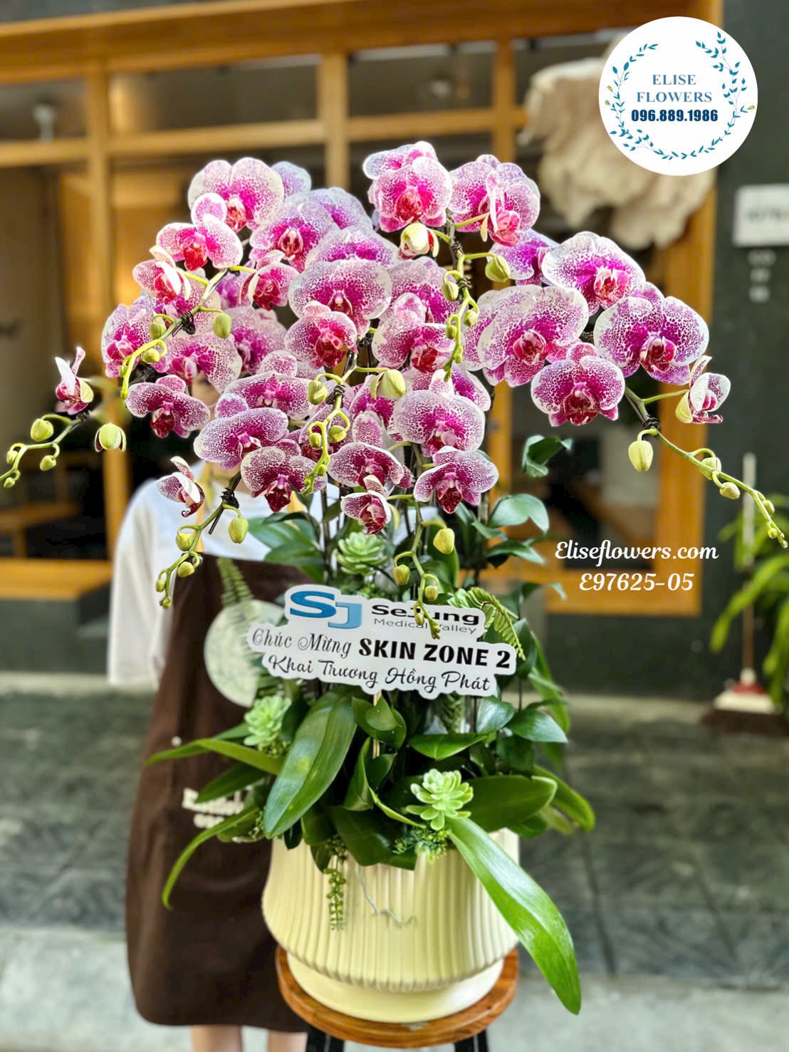 Hoa khai trương cao cấp. Chậu lan hồ điệp trắng chấm tím tặng khai trương