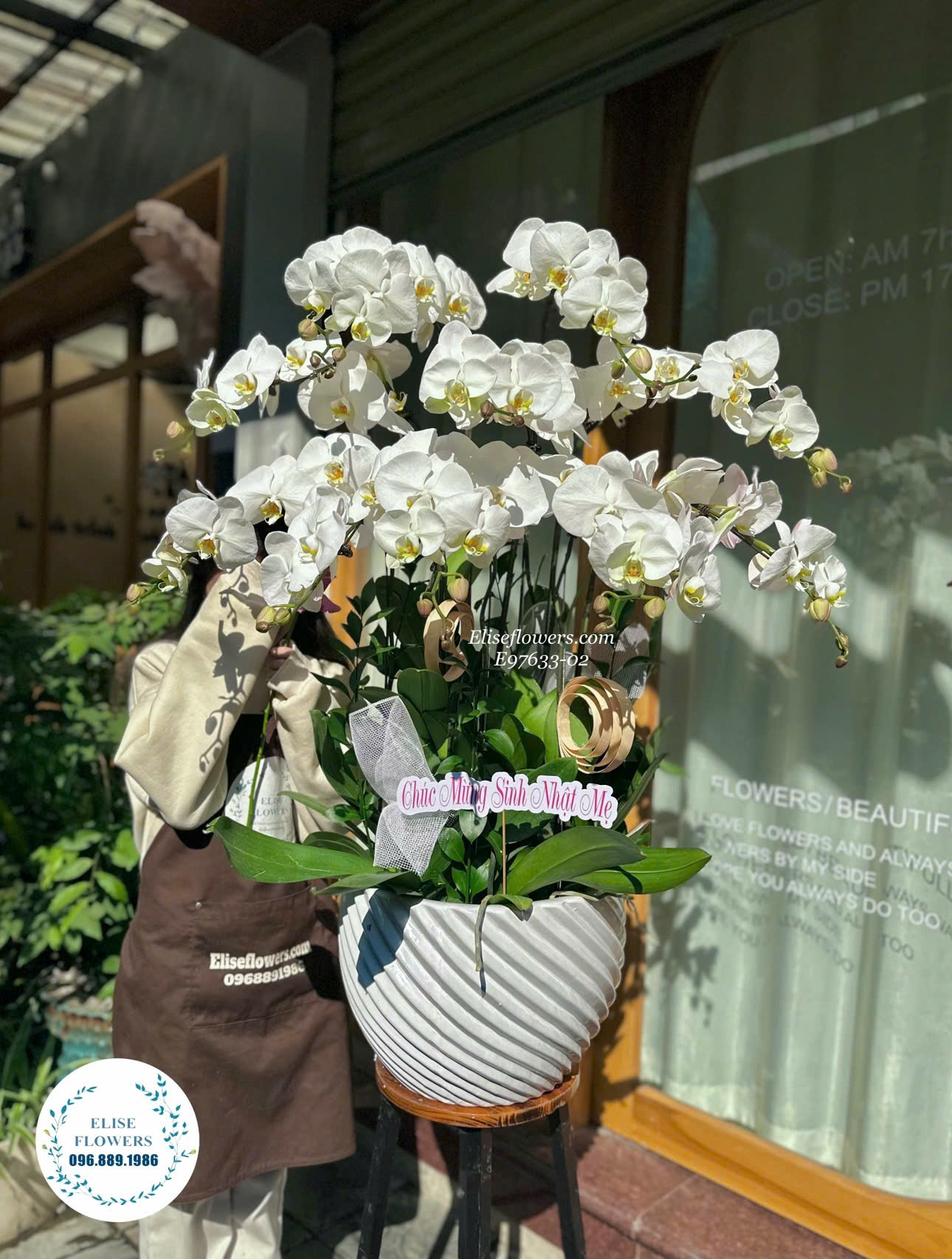 Cửa hàng hoa lan hồ điệp rẻ đẹp ở Hà Nội. Shop hoa lan hồ điệp Hà Nội. Đặt hoa online Hà Nội.