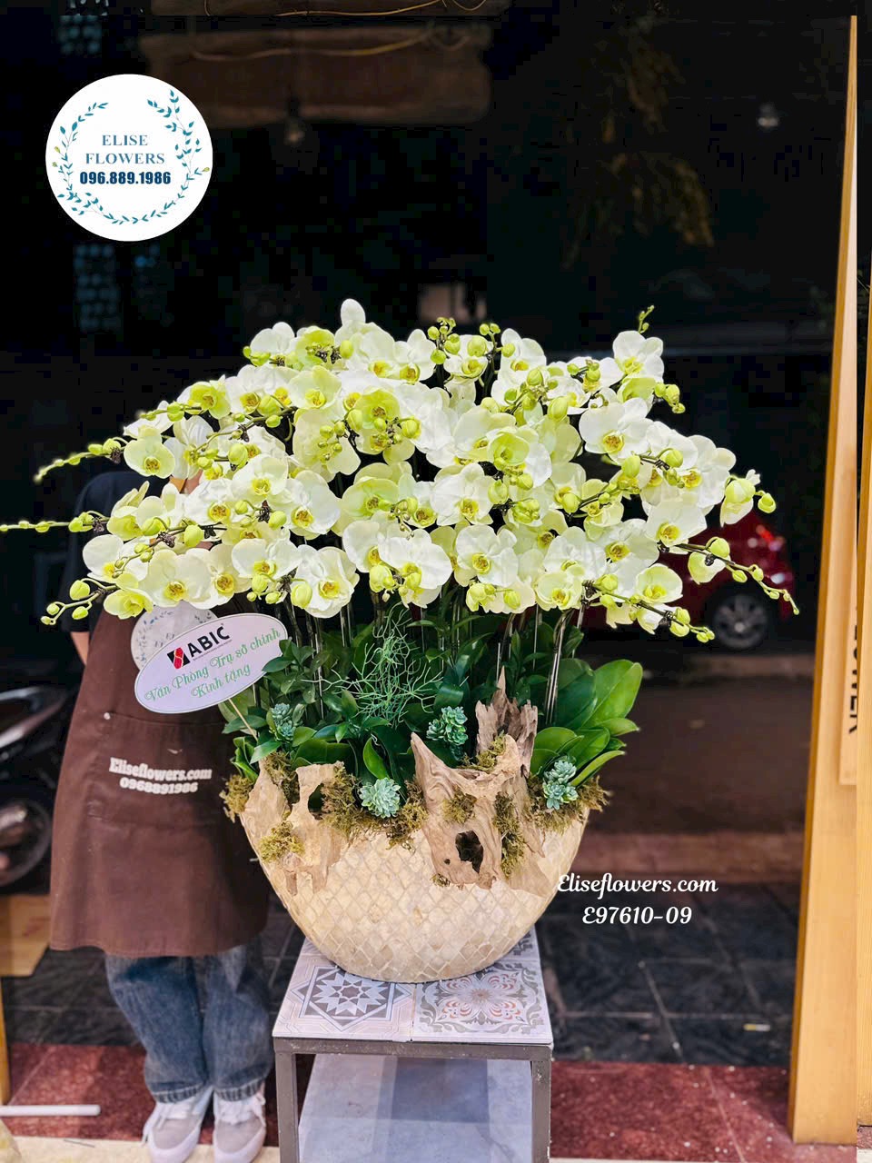 Chậu lan hồ điệp xanh táo nhập khẩu cao cấp ở Hà Nội