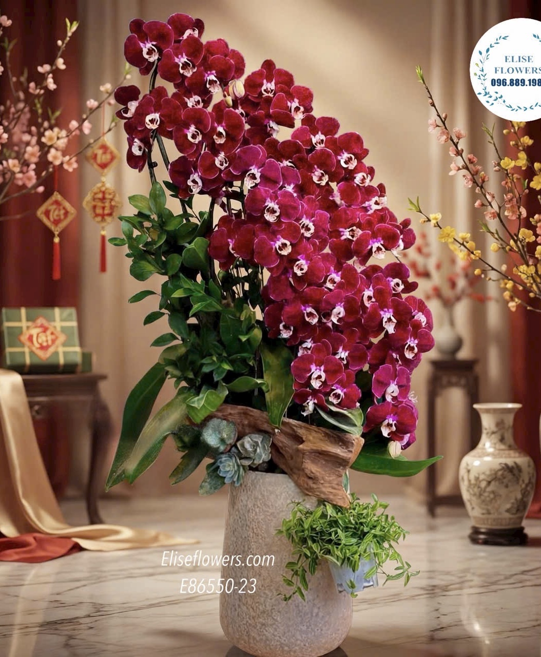 Chậu lan đỏ ngọc trai. Lan hồ điệp tặng đối tác, khách hàng ở Hà Nội. Dịch vụ giao hoa nhanh chóng