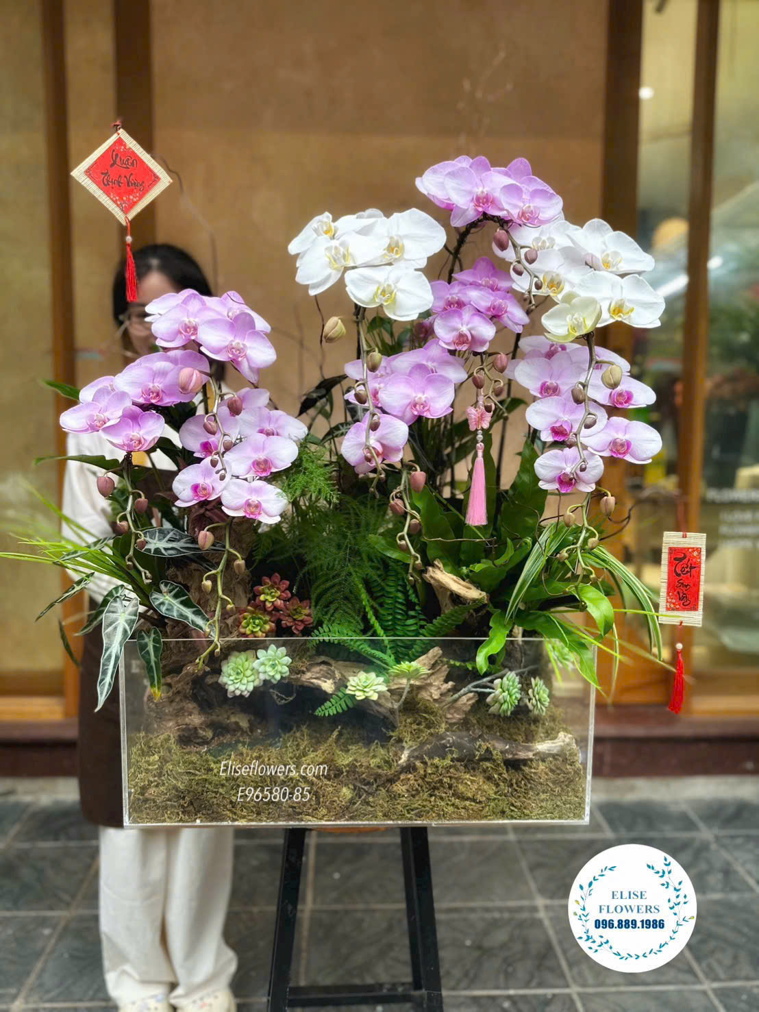 Chậu lan hồ điệp tiểu cảnh hiện đại. Chậu lan trang trí nhà sang trọng, ấn tượng. Địa chỉ mua