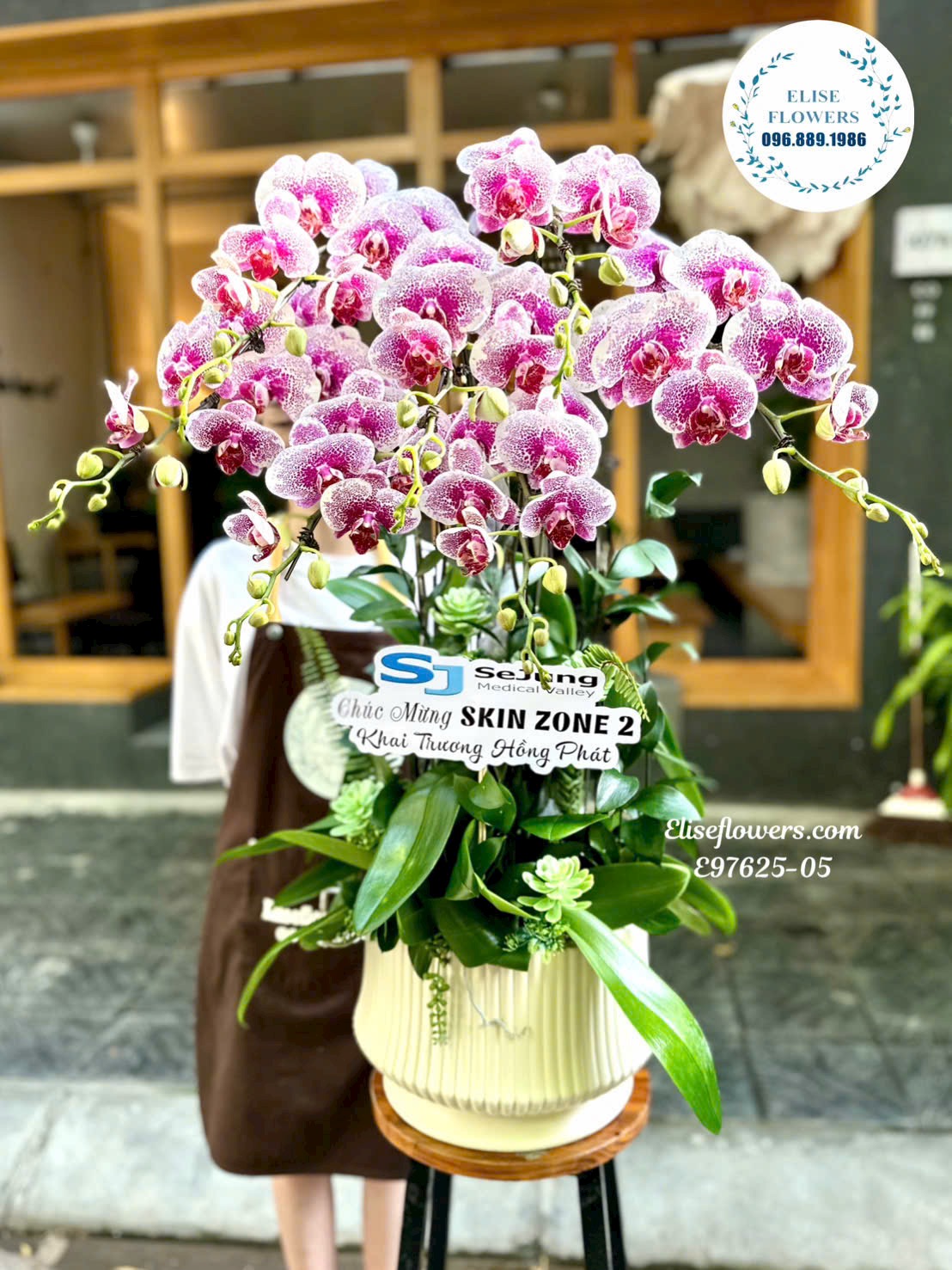 Hoa khai trương cao cấp. Chậu lan hồ điệp trắng chấm tím quý phái, sang trọng