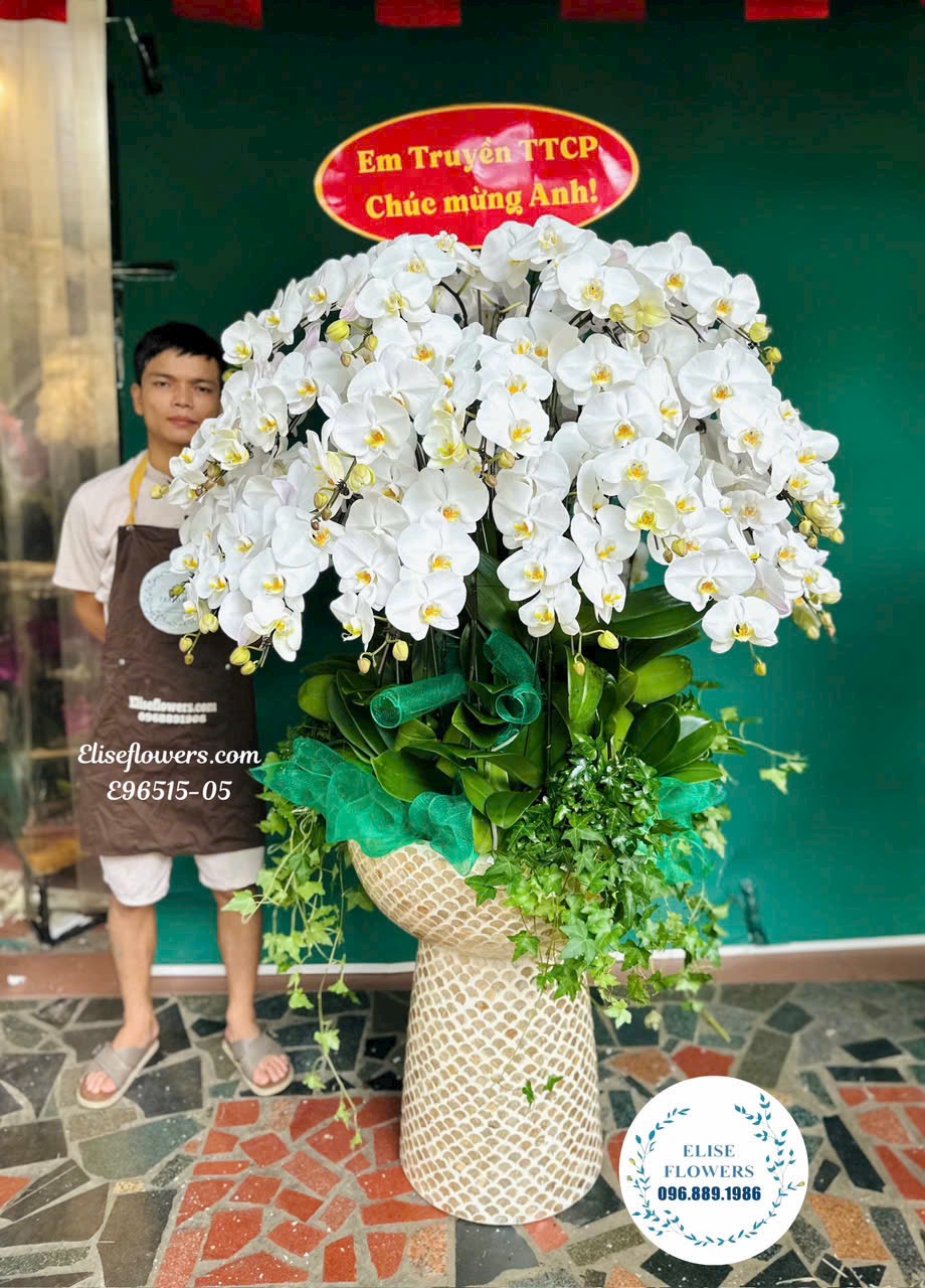 Lan hồ điệp Hà Nội. Chậu lan hồ điệp trắng cắm tròn cao cấp, sang trọng