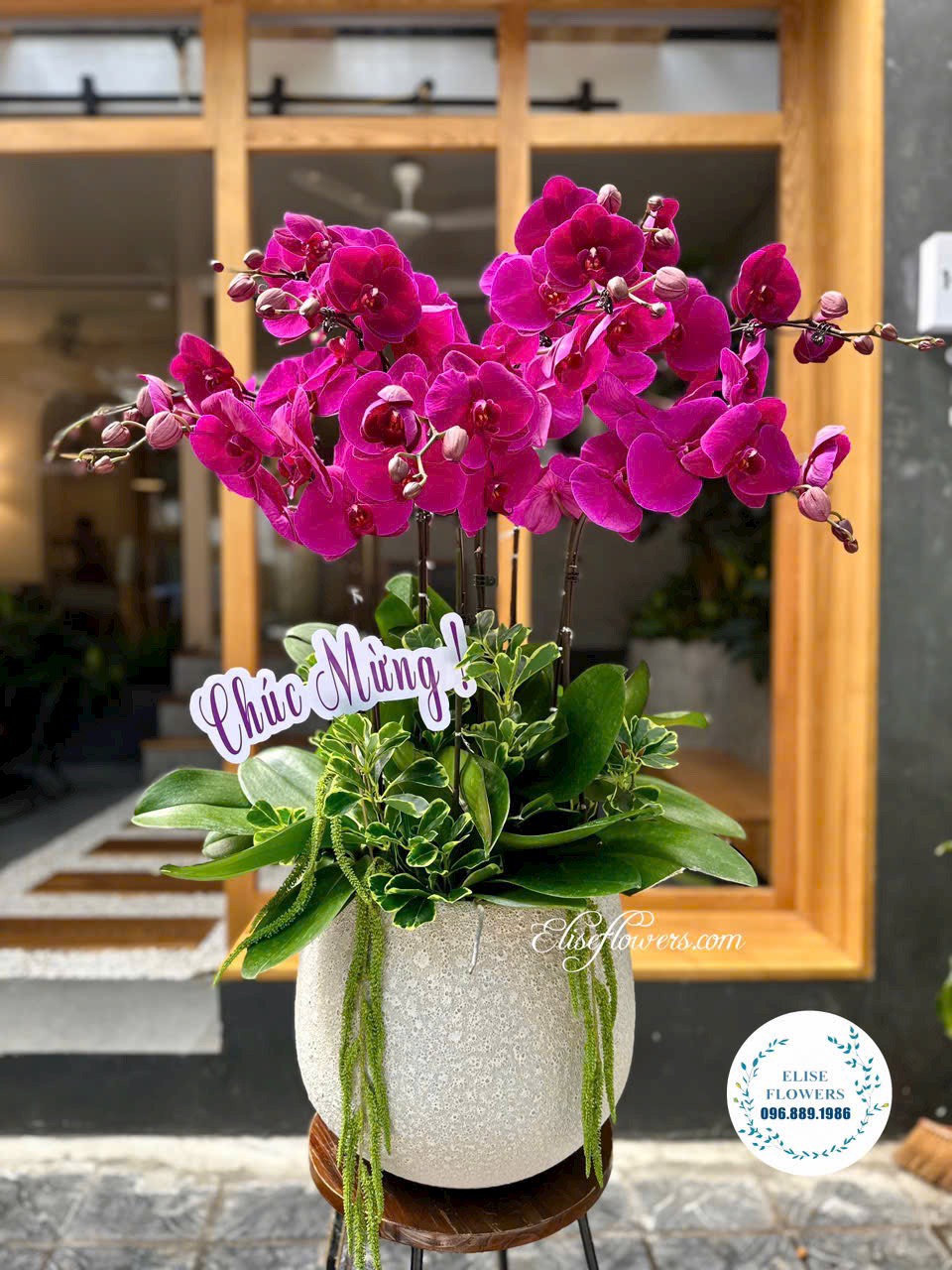 Đặt mua chậu hoa lan hồ điệp tặng sếp. Điện hoa lan lan hồ điệp cao cấp