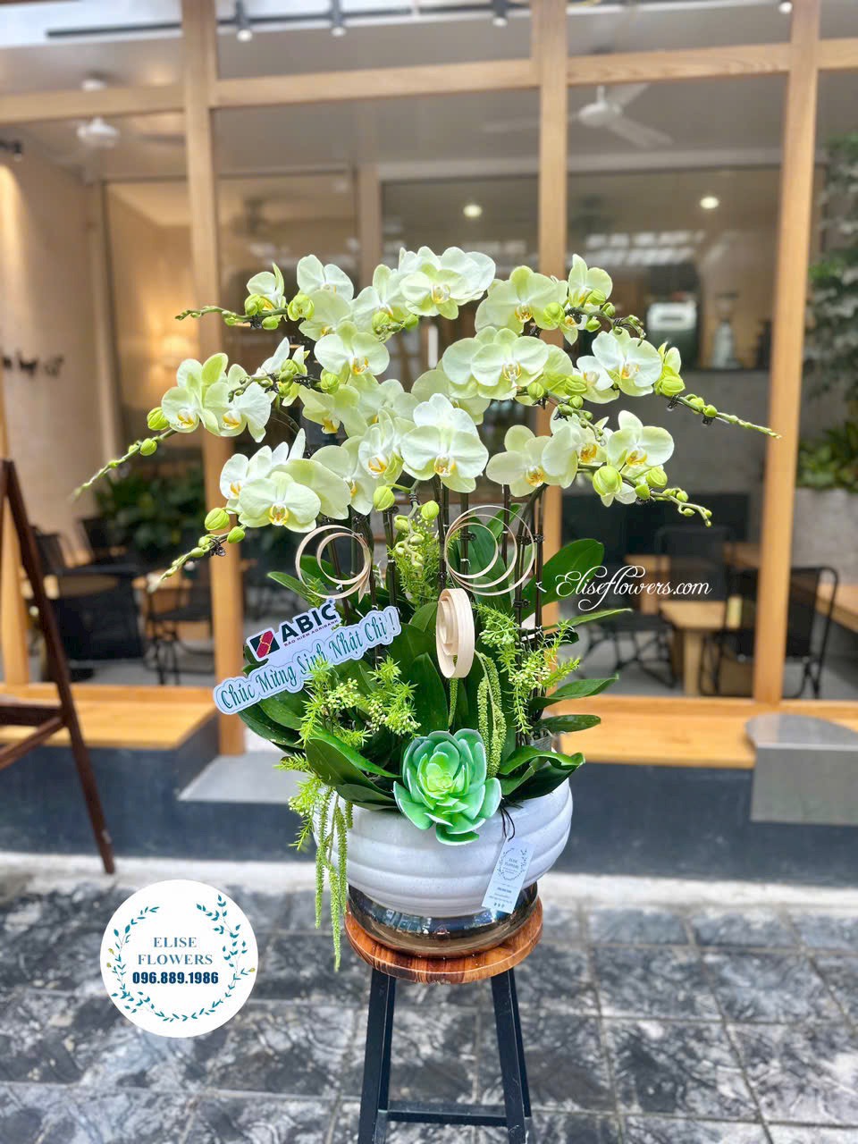 Mua hoa lan hồ điệp cao cấp ở Hà Nội. Điện hoa lan hồ điệp đẹp ở Hà Nội