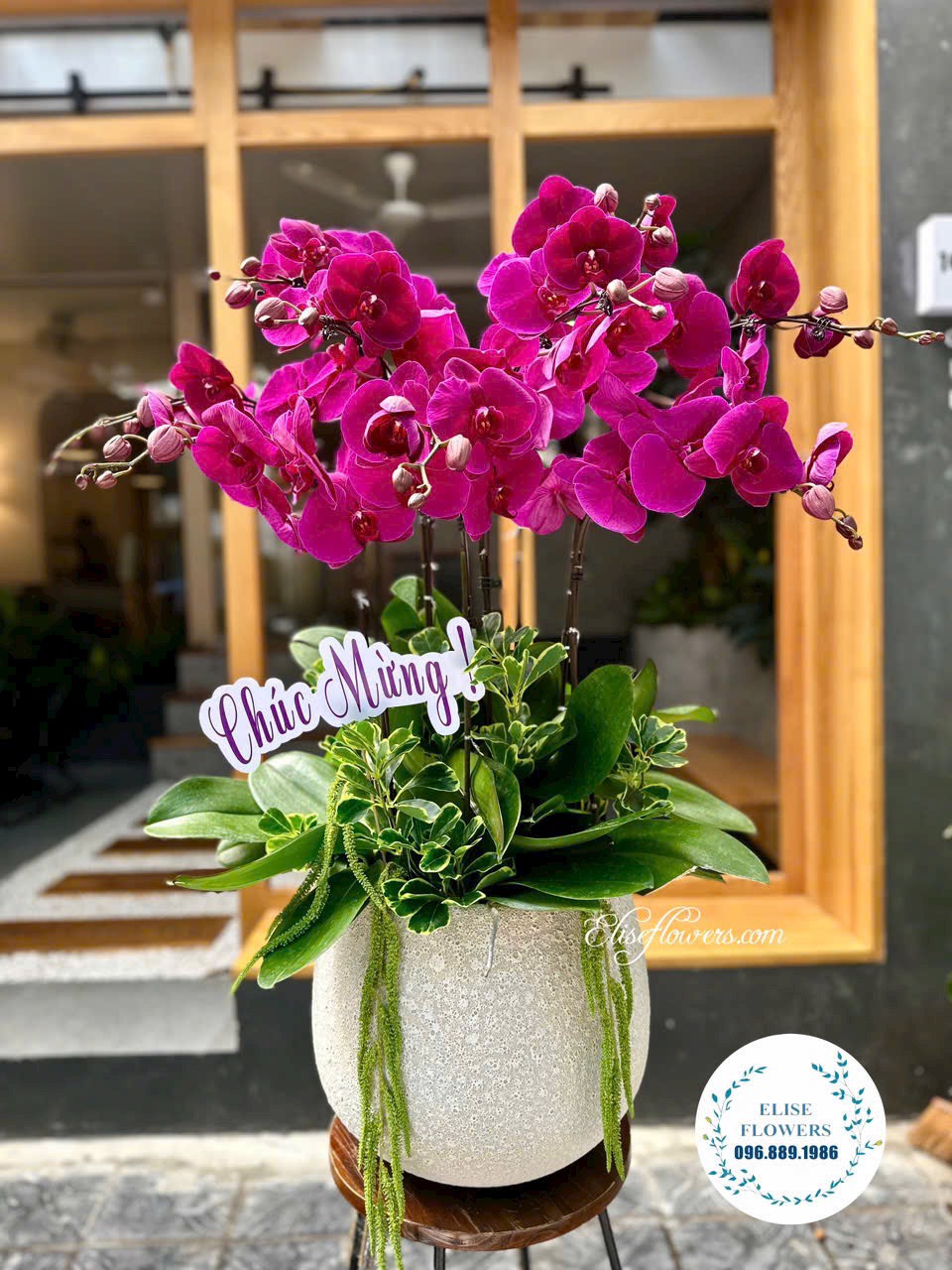 Đặt chậu hoa lan hồ điệp tím đẹp. Điện hoa lan hồ điệp cao cấp ở Hà Nội