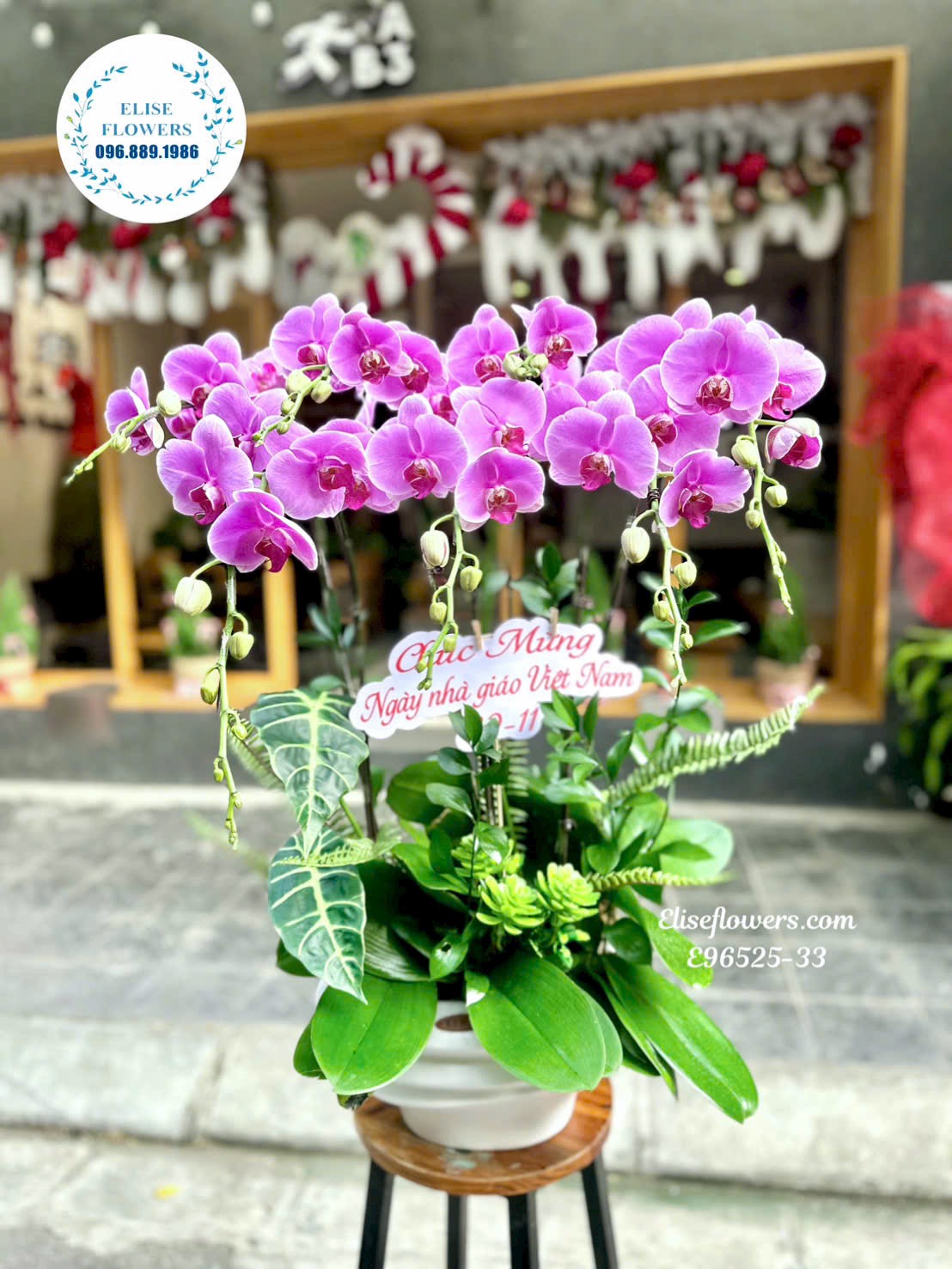 Chậu Lan Hồ Điệp Tím 7 cành đẹp, mang ý nghĩa phong thủy may mắn và sang trọng, lý tưởng làm quà tặng đẳng cấp