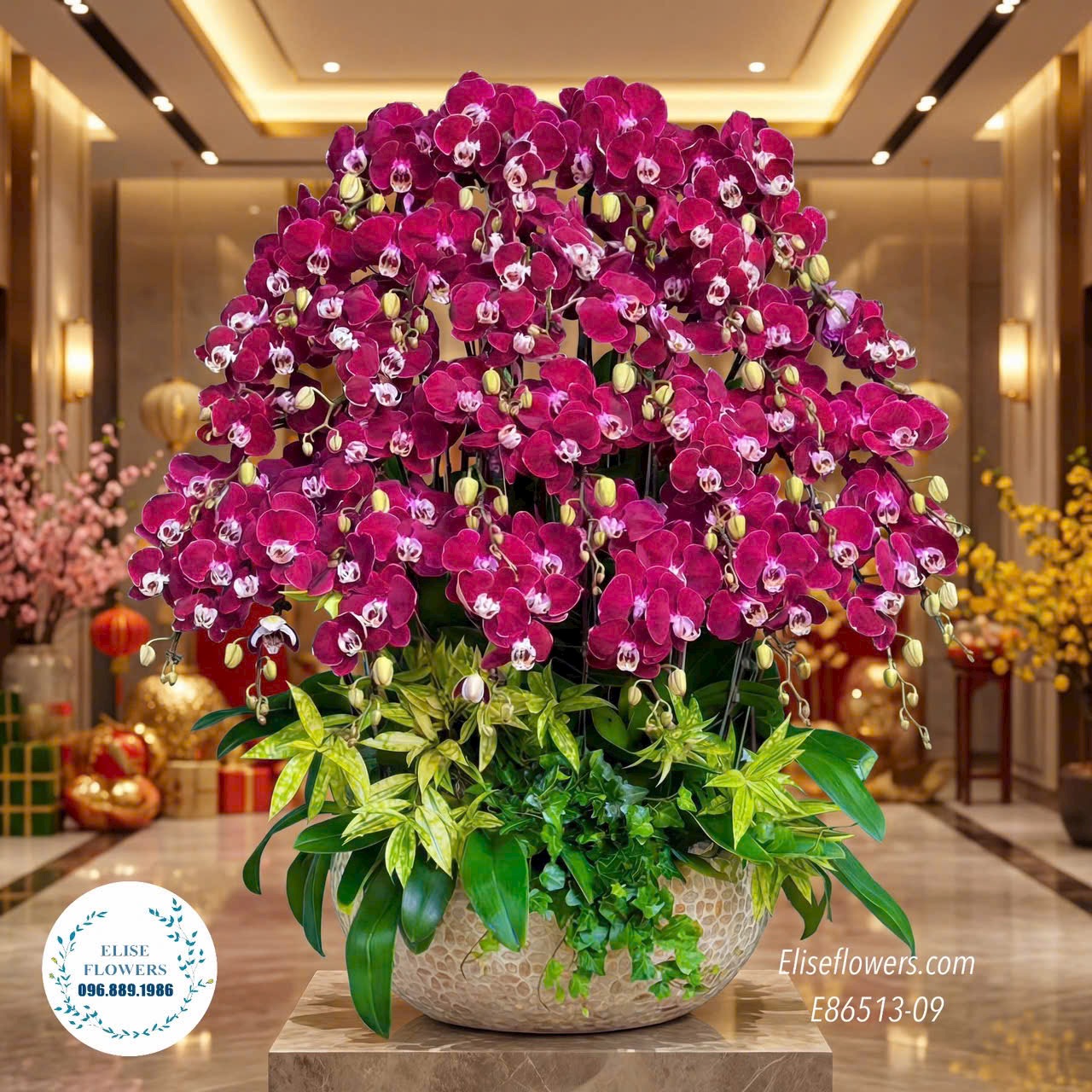Lan hồ điệp sinh nhật. Chậu lan hồ điệp đỏ ngọc trai đẳng cấp tặng sếp, đối tác. Eliseflowers