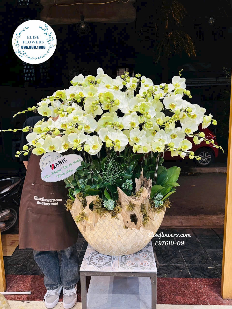 Chậu lan hồ điệp xanh táo sang trọng. Điện hoa tươi Eliselfowers