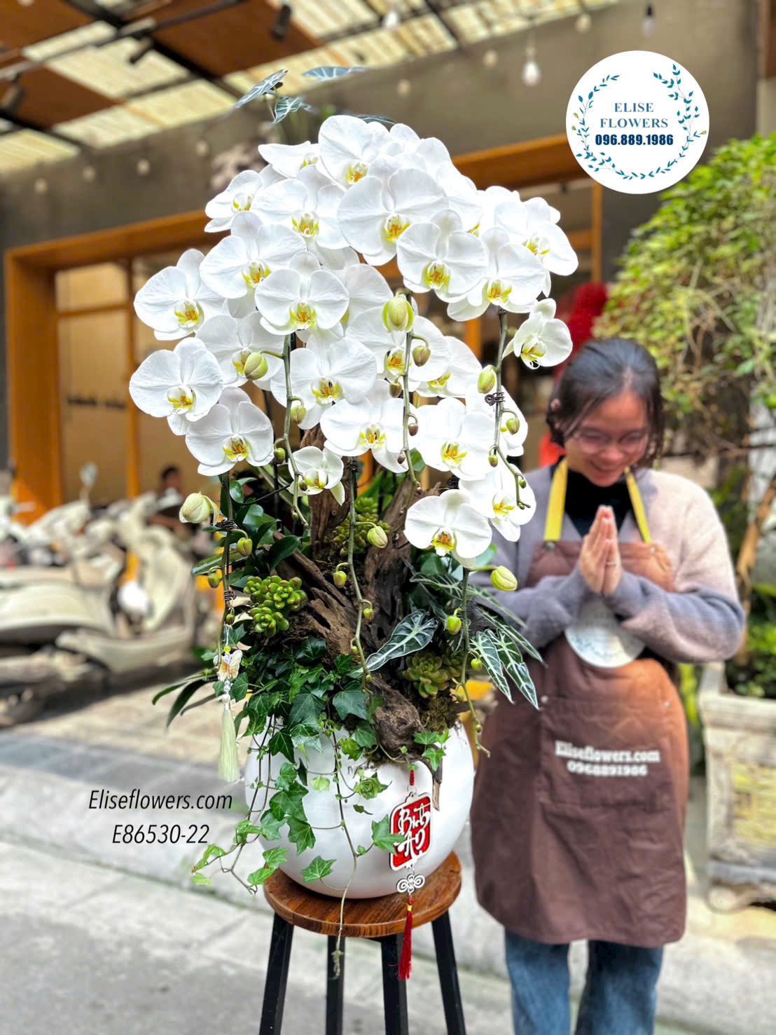 Lan hồ điệp Tết. Chậu lan hồ điệp ghép lũa sang trọng. Dịch vụ giao hoa nhanh chóng, uy tín