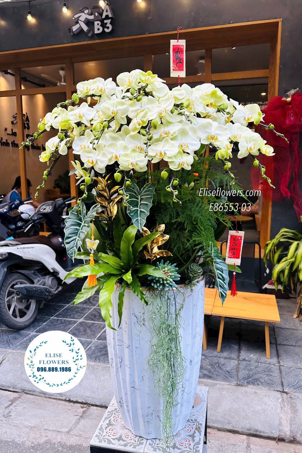 Chậu lan hồ điệp xanh táo. Hoa mừng nhà mới đẹp. Điện hoa Hà Nội Eliseflowers