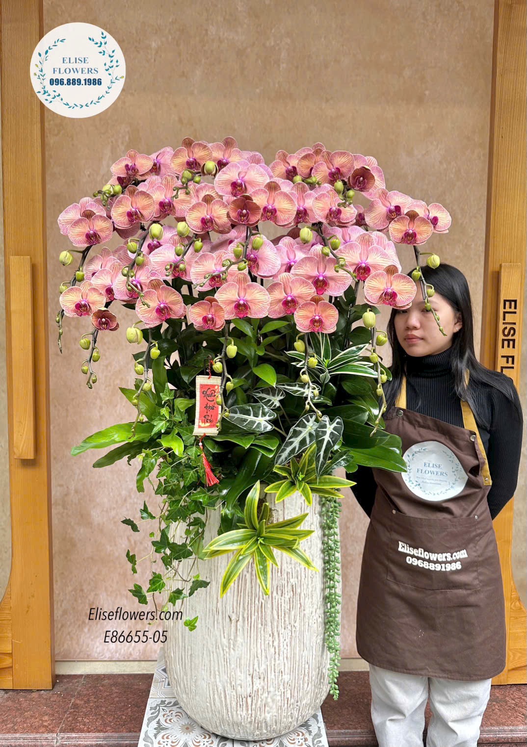 Chậu lan hồ điệp cam đào sang trọng. Lan hồ điệp chơi tết bền, đẹp.