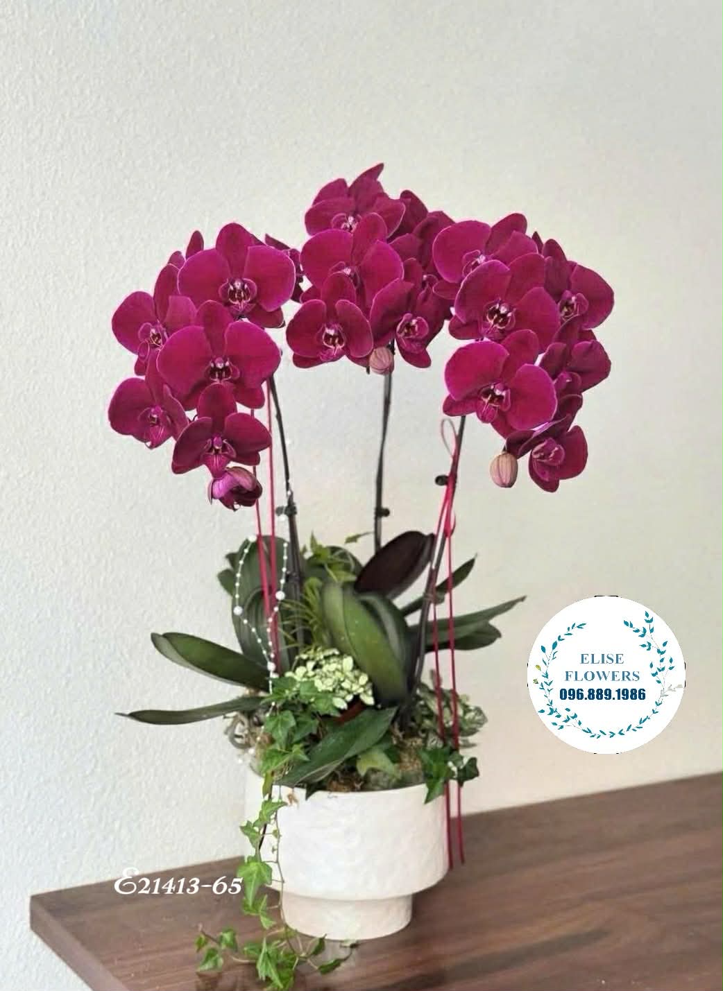 Hoa sinh nhật Đống Đa. Chậu lan hồ điệp tặng bố mẹ. Địa chỉ mua lan hồ điệp tím uy tín