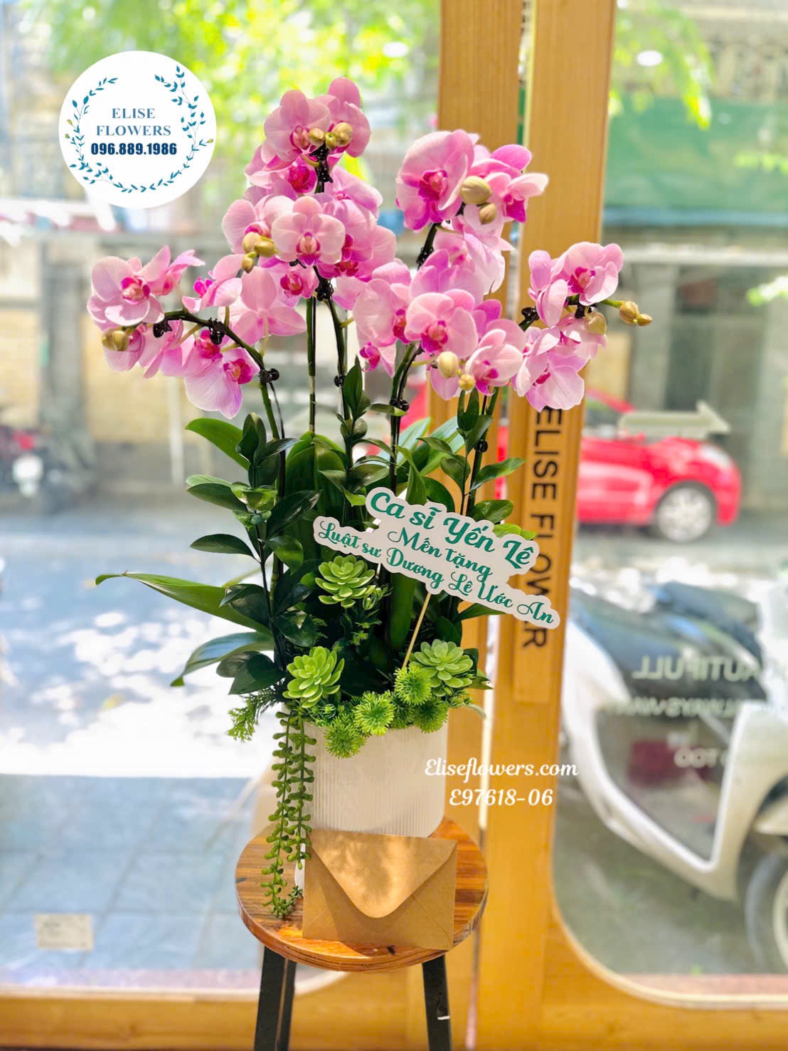 Chậu lan hồ điệp cao cấp ở Hà Nội. Điện lan hồ điệp uy tín. Lan hồ điệp sinh nhật