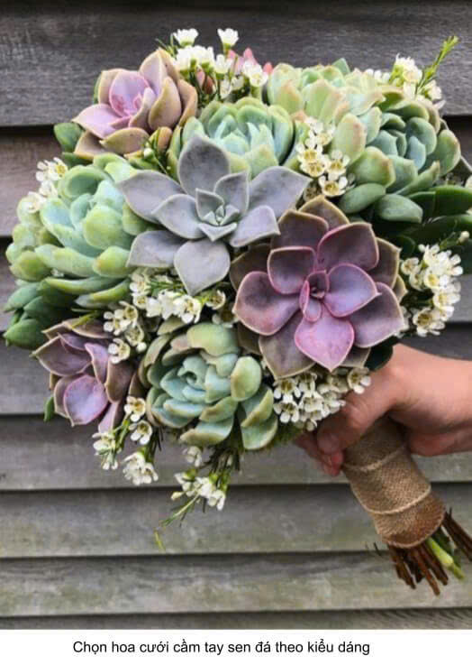 Hoa cưới bằng sen đá. Shop hoa sen đá ở Hà Nội. Mua hoa sen đá ở Hà Nội.