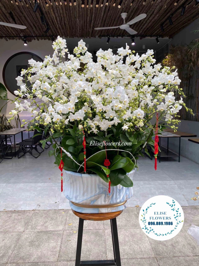 Điện hoa tươi Hà Nội, shop hoa tươi Cầu Giấy uy tín - Elise Flowers