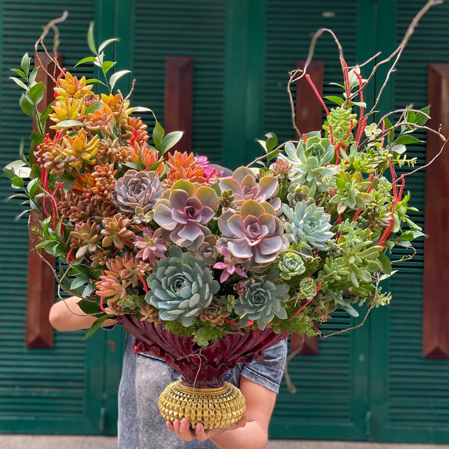 HOA SEN ĐÁ TẶNG SINH NHẬT SẾP NỮ. HOA SEN ĐÁ TẶNG SINH NHẬT Ở HÀ NỘI. Elise Flowers