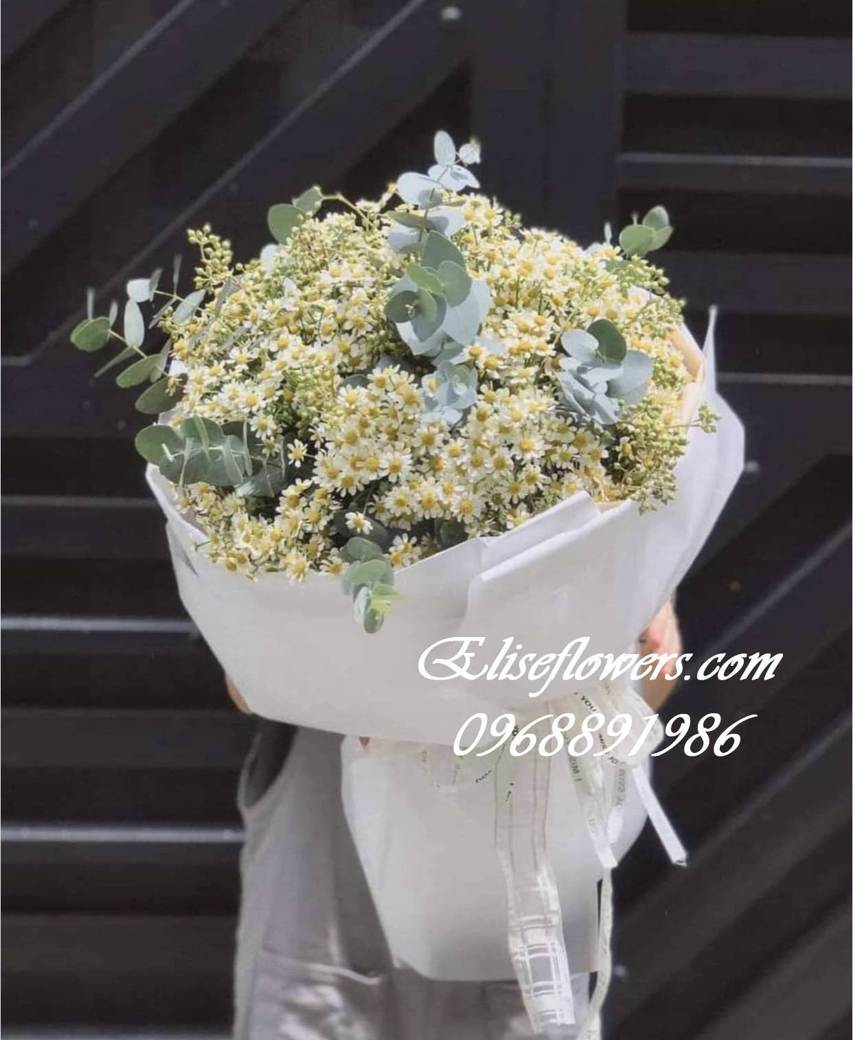 Hoa sinh nhật ở Hà Nội -  Bó hoa cúc tana xinh đẹp, mong manh tặng người thương