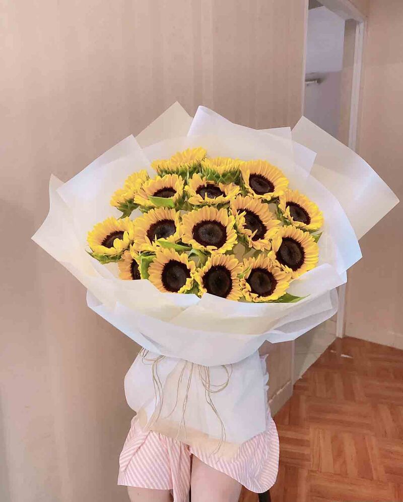 Hoa hướng dương màu vàng