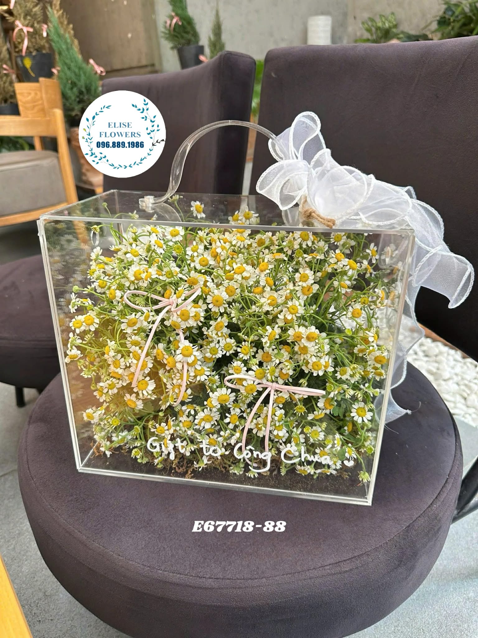 Hoa cúc tana ý nghĩa. Hộp hoa mica tặng sinh nhật. Hoa tặng sinh nhật đẹp. Điện hoa Hà Nội Eliseflowers