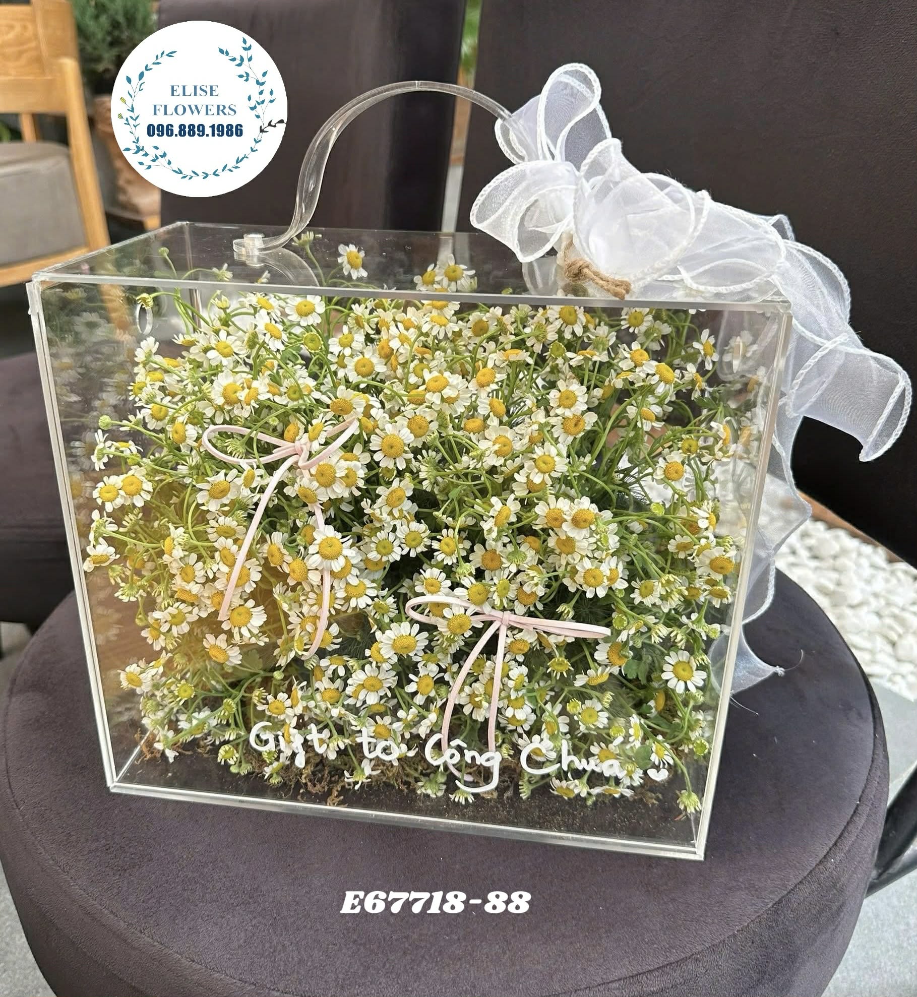 Hoa cúc tana ý nghĩa. Hộp hoa mica tặng sinh nhật. Hoa tặng sinh nhật. Hoa tươi Thanh Xuân