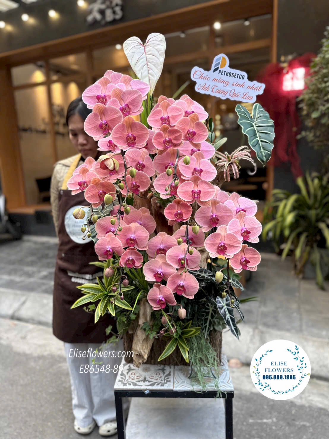 Đặt mua lan hồ điệp khai trương Hà Nội. Chậu lan cam đào sang chảnh, cao cấp. Điện hoa Eliseflowers