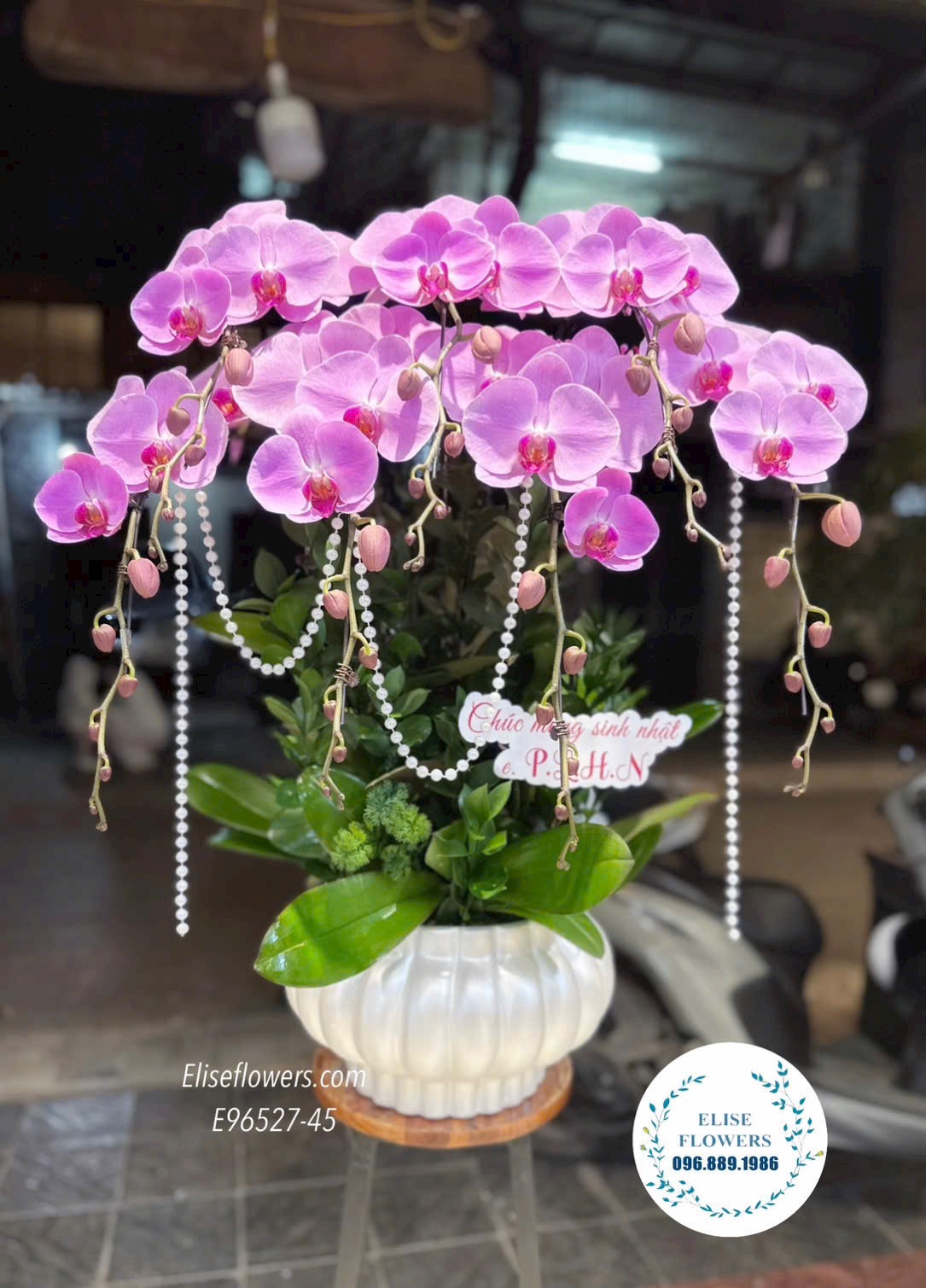 Hoa tặng tân gia. Lan hồ điệp mừng nhà mới. Chậu lan hồ điệp hồng tím tại quận Đống Đa