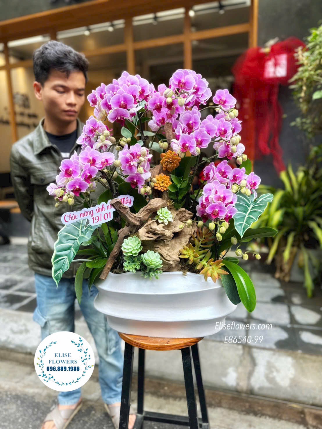 Quà tặng sếp cao cấp Hà Nội. Đặt mua chậu lan hồ điệp ghép lũa tặng sinh nhật Sếp