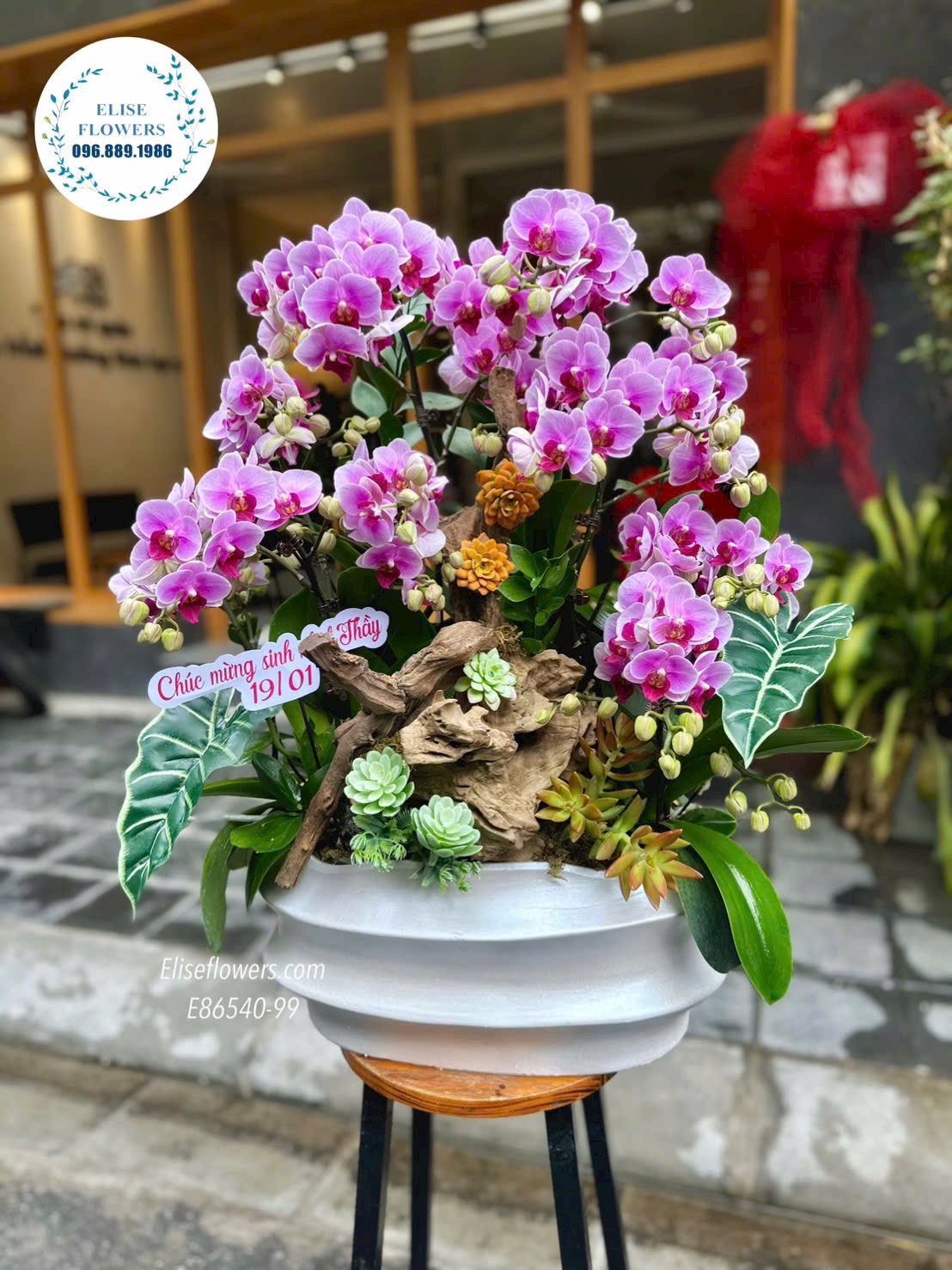 Quà tặng sếp cao cấp Hà Nội. Đặt mua chậu lan hồ điệp ghép lũa tặng sinh nhật Sếp. Địa chỉ mua hoa uy tín