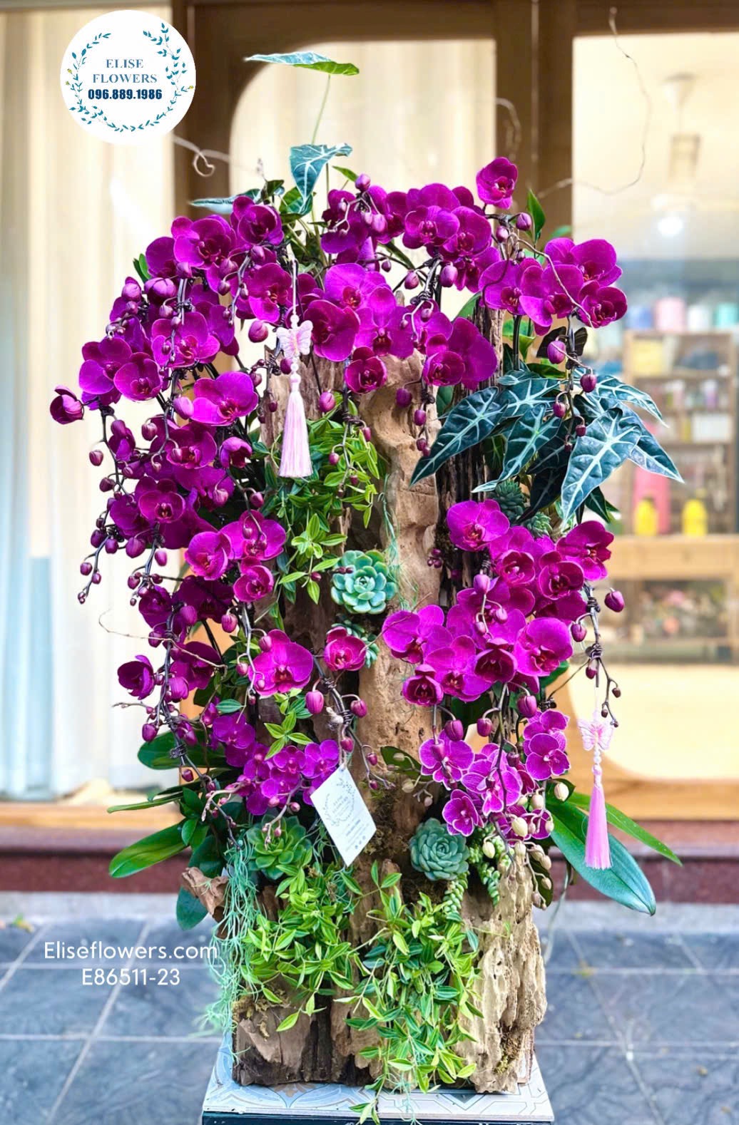 Lan hồ điệp ghép lũa sang trọng, đẳng cấp. Lan hồ điệp sinh nhật. Điện hoa lan hồ điệp Hà Nội