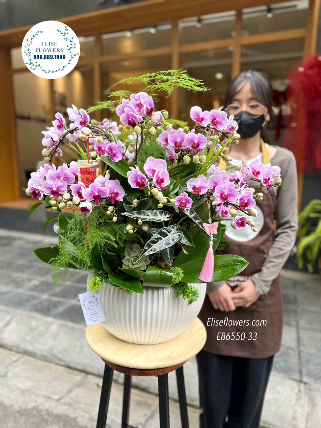 Lan hồ điệp Hà Nội. Lan chơi Tết giá tốt. Đặt mua chậu lan hồ điệp tím phong thuỷ để bàn