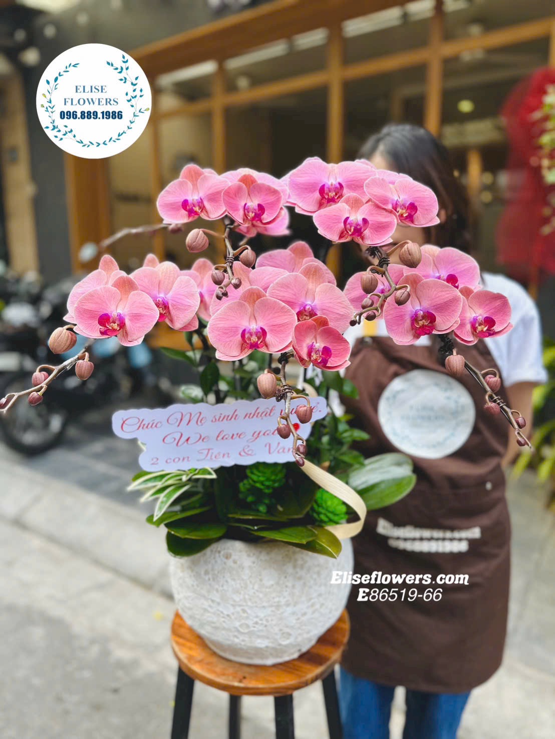Lan hồ điệp Hoàn Kiếm. Chậu lan hồ điệp cao cấp giá rẻ tại Hoàn Kiếm. Điện hoa tươi Hà Nội