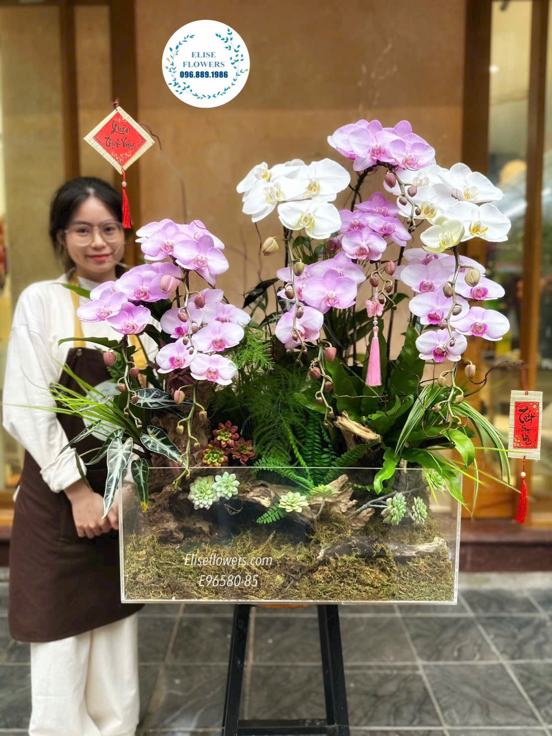 Chậu lan hồ điệp tiểu cảnh hiện đại. Chậu lan trang trí nhà sang trọng, ấn tượng