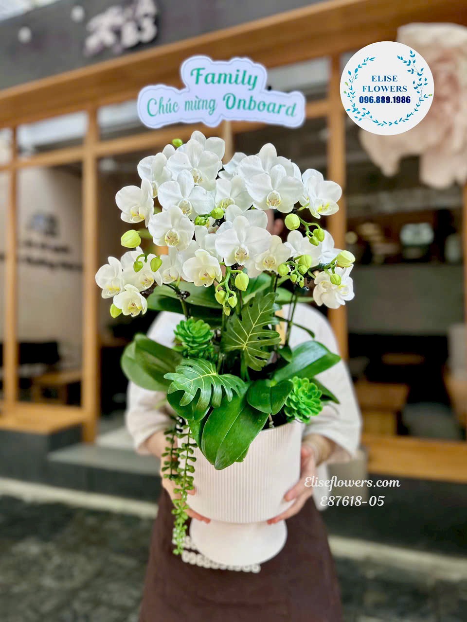 Chậu lan hồ điệp trắng tinh khôi để bàn