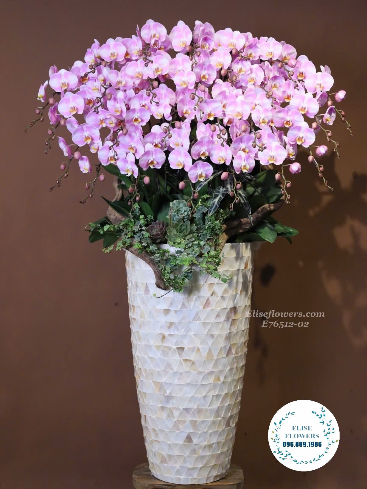 Lan hồ điệp tặng vợ sếp. Chậu lan hồ điệp tím khảm trai tặng vợ sếp.Elise Flowers.