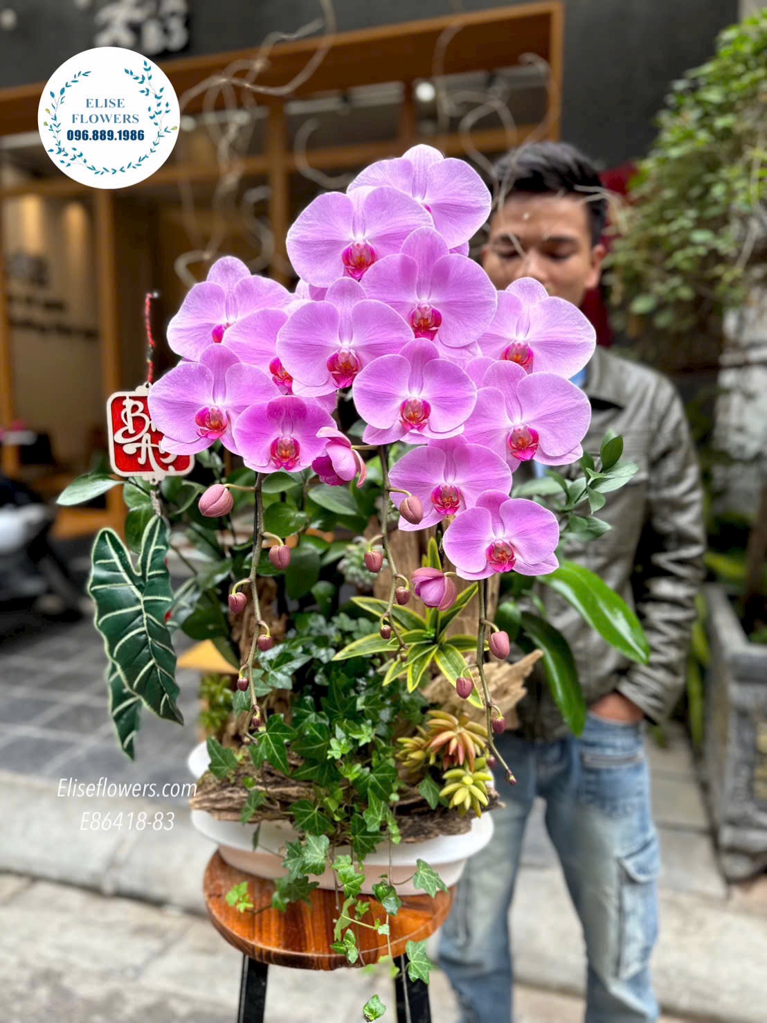 Lan hồ điệp trang trí phòng khách sang trọng. Lan hồ điệp chơi Tết. Địa chỉ mua hoa uy tin